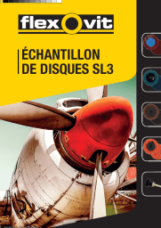 Disques à changement rapide - Mini-meules d'angle